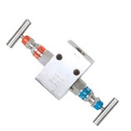 2 PTM 2 MANIFOLD
